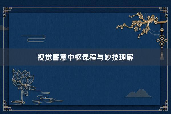 视觉蓄意中枢课程与妙技理解